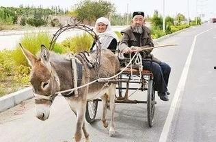 爆料二驴卖车视频大全,揭秘网红带货新潮流 第1张 爆料二驴卖车视频大全,揭秘网红带货新潮流 第1张